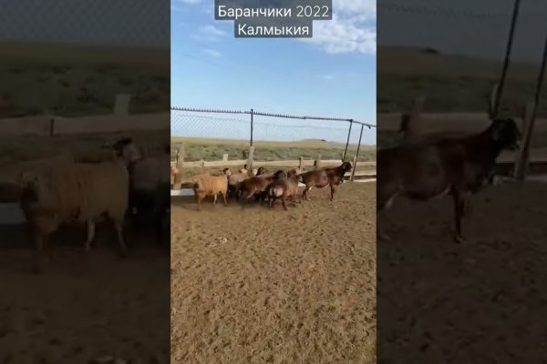 Как зайти на кракен через тор