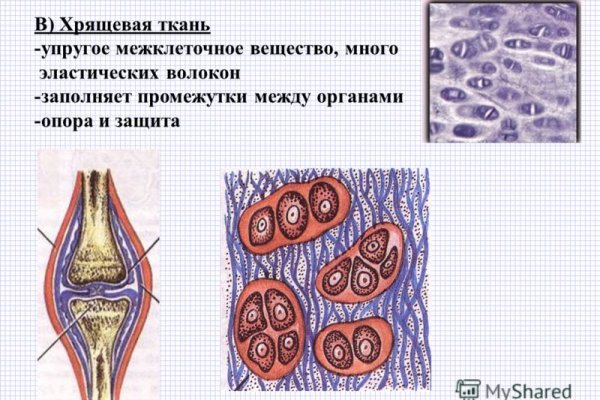 Пользователь не найден кракен даркнет