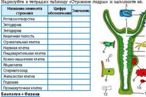 Кракен at сегодня работает ли